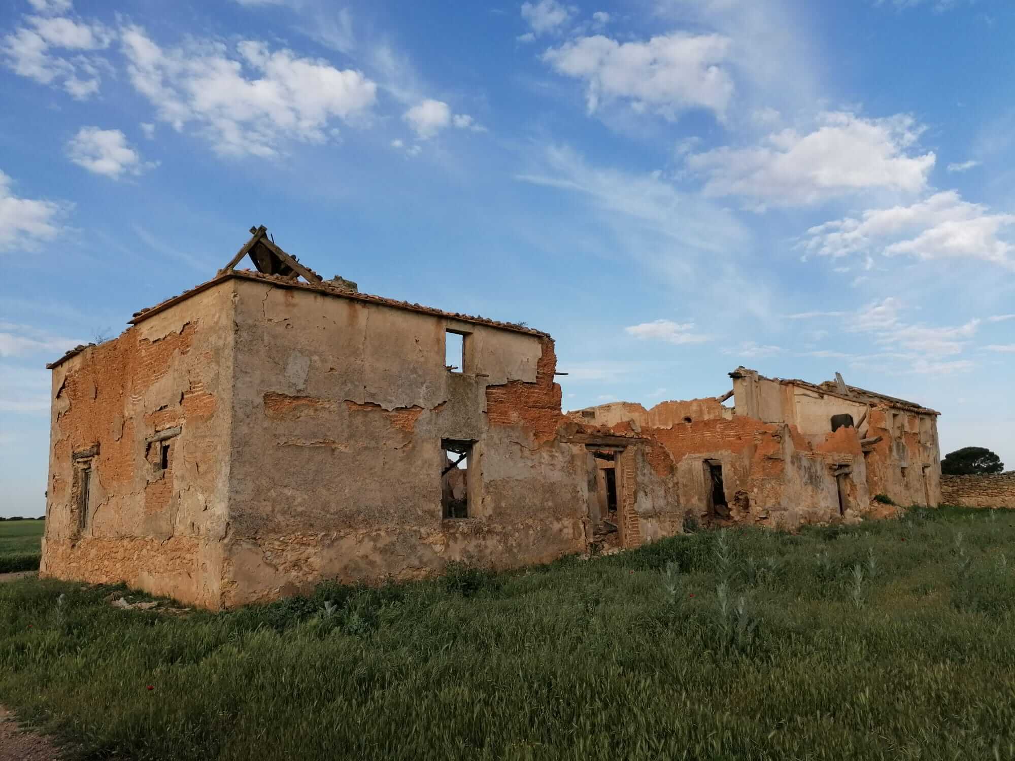 WhatsApp Image 2023-08-16 at 23.42.49