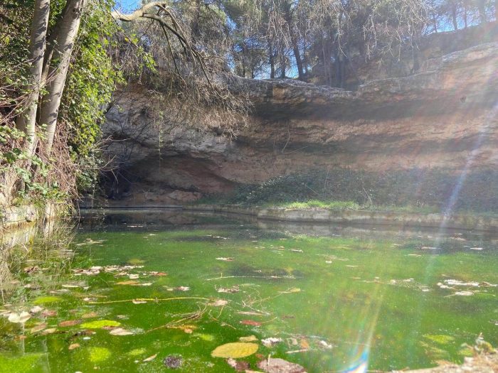 PRIMER PREMIO-ADULTO_Balsa de la Guitarra_LUZ MARIA LOPEZ ROLDAN PRIMER PREMIO-ADULTO_Balsa de la Guitarra_LUZ MARIA LOPEZ ROLDAN
