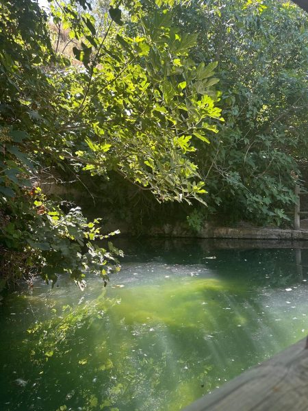 PRIMER PREMIO- INFANTIL_La magia del estanque_LUCIA CASTIÑEYRA PRIMER PREMIO- INFANTIL_La magia del estanque_LUCIA CASTIÑEYRA