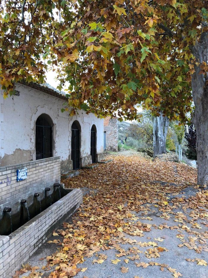 SEGUNDO PREMIO-ADULTO_Otoño en el lavadero PEDRO PABLO LOPEZ MARTINEZ SEGUNDO PREMIO-ADULTO_Otoño en el lavadero PEDRO PABLO LOPEZ MARTINEZ