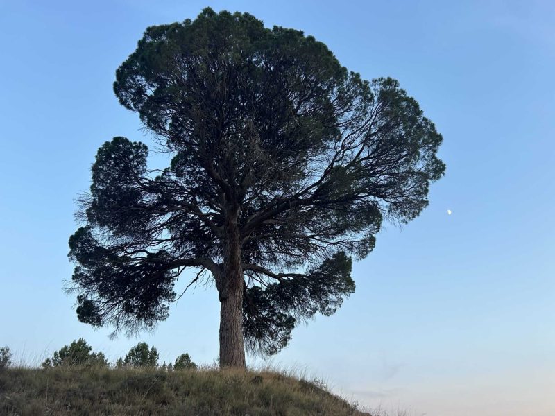 WhatsApp Image 2025-08-20 at 18.38.29 (1) WhatsApp Image 2025-08-20 at 18.38.29 (1)