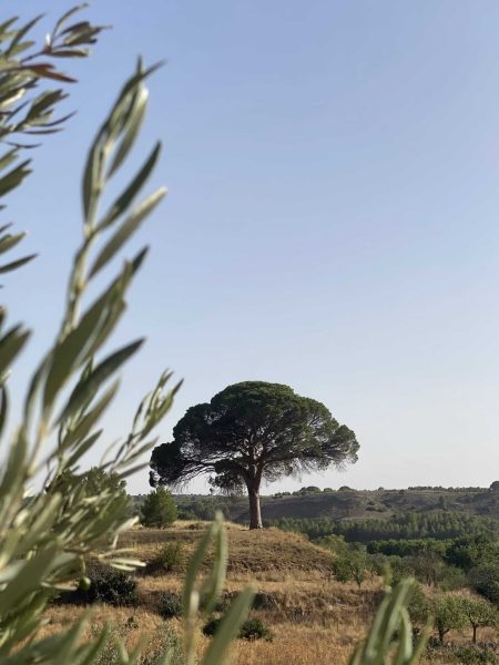 WhatsApp Image 2025-08-20 at 18.38.29 (2) WhatsApp Image 2025-08-20 at 18.38.29 (2)