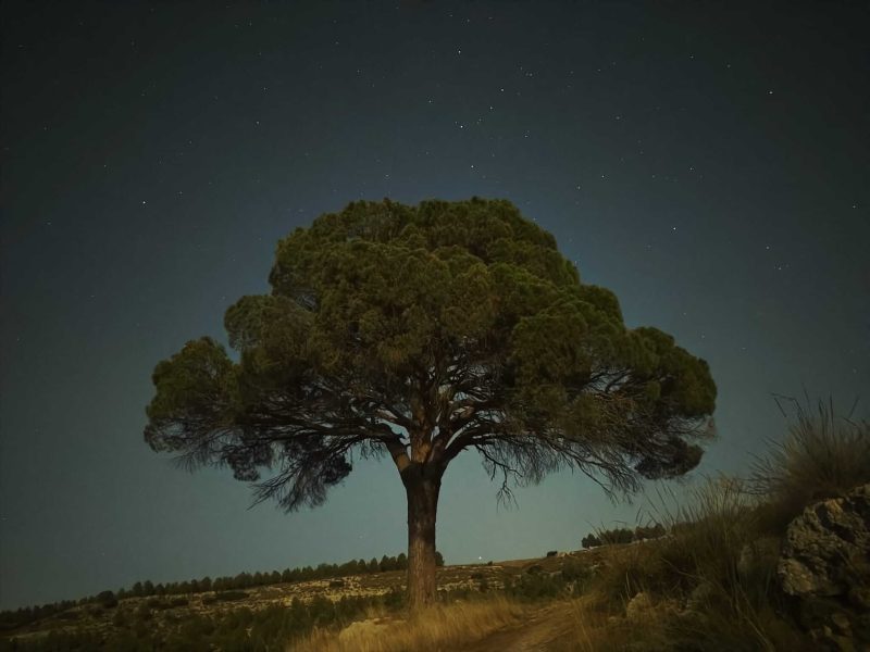 WhatsApp Image 2025-08-20 at 18.38.29 (3) WhatsApp Image 2025-08-20 at 18.38.29 (3)