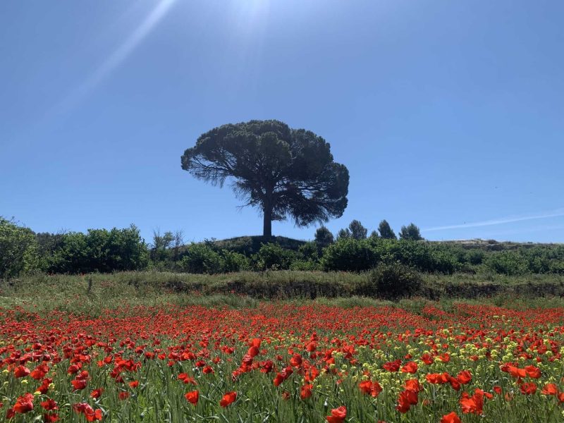 WhatsApp Image 2025-08-20 at 18.38.29 WhatsApp Image 2025-08-20 at 18.38.29